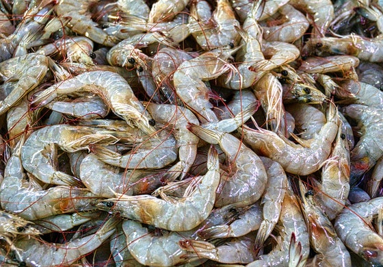masbazar
